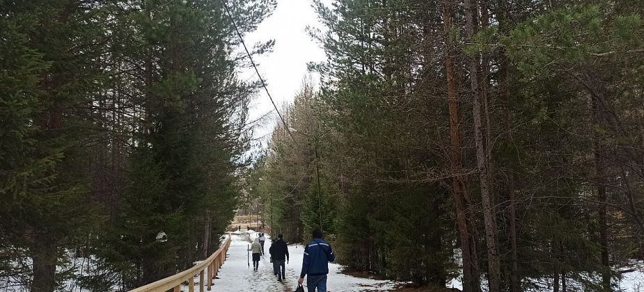 Приметы на 3 мая. Поминаем родственников, не поливаем растения