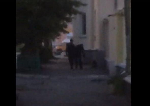 Прогулка с агрессором: полицейские проверяют действия горожан, избивших своих собак