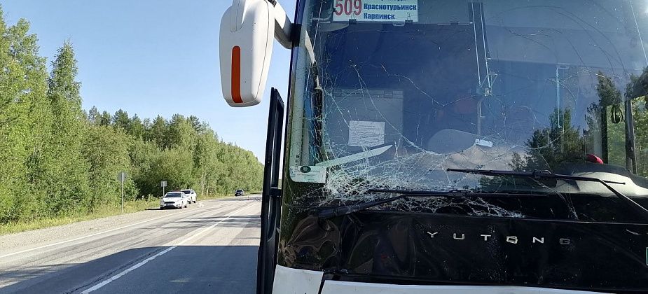 ГИБДД сообщила подробности ДТП с пассажирским автобусом