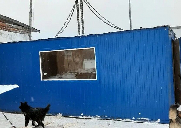 Серовскому "Дому добра" краснотурьинец подарил вагончик для щенков