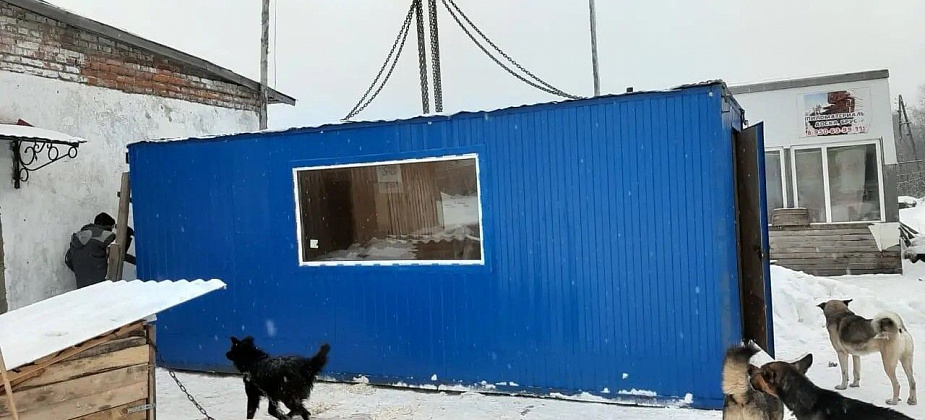 Серовскому "Дому добра" краснотурьинец подарил вагончик для щенков