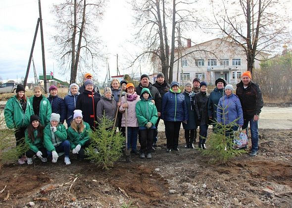 В поселке Воронцовка появится новый парк. Первые 20 елей там уже высадили