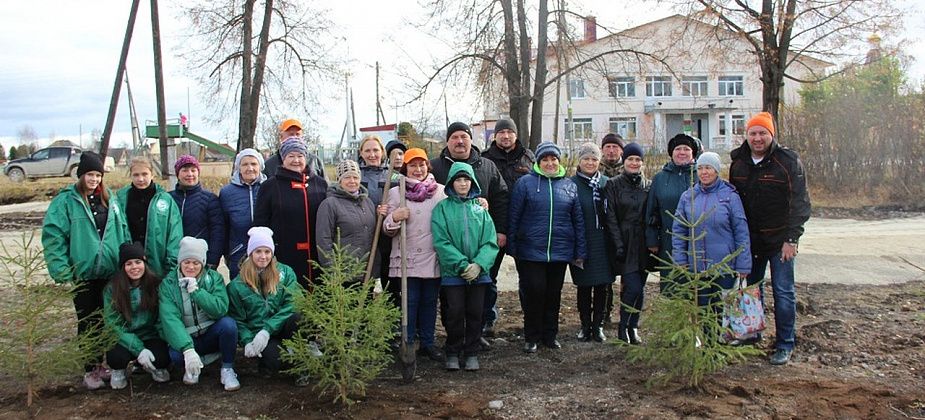 В поселке Воронцовка появится новый парк. Первые 20 елей там уже высадили