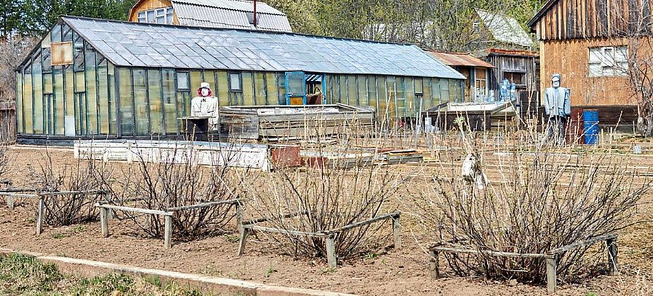 Перед судом предстанет обвиняемый в серийных кражах на садовых участках