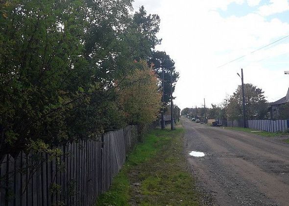 Пятеро горожан похищали... ванны из садовых участков
