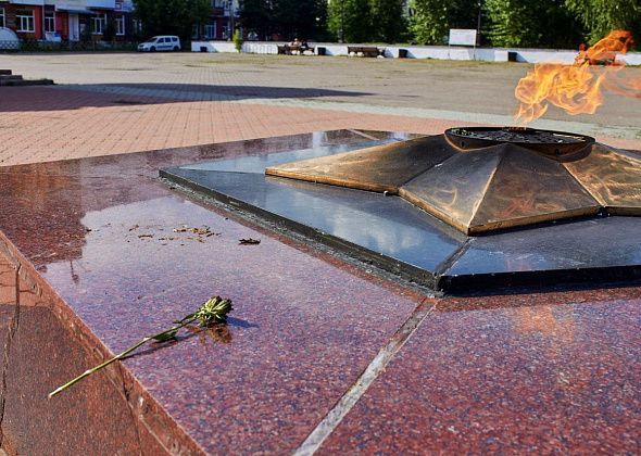 Нашли детей, которые поджигали гвоздики на Вечном огне