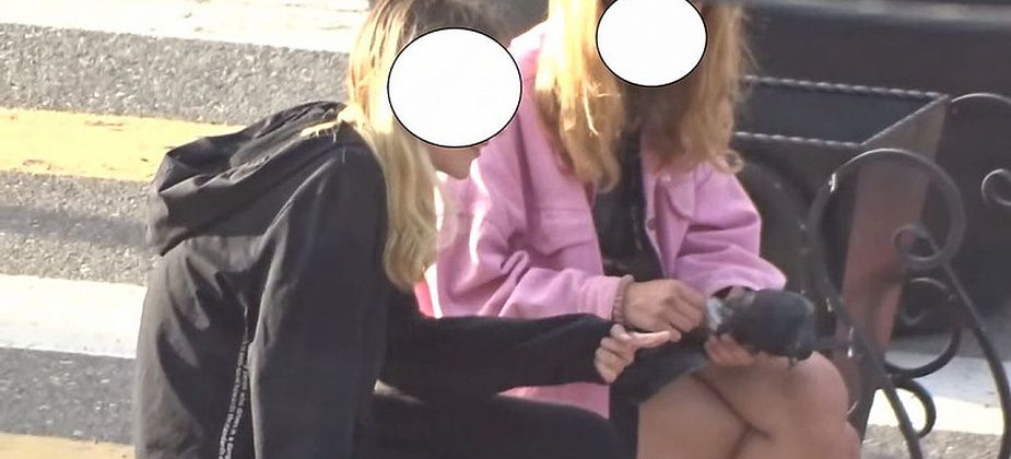 Школьниц, ощипавших «наживую» голубя, поставят на учет, родителям грозит штраф от 100 рублей