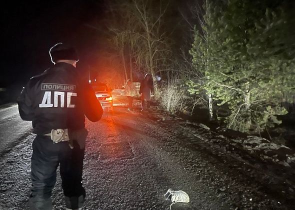 В пригороде Краснотурьинска насмерть сбили пешехода