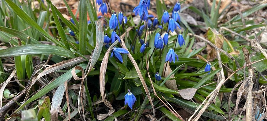 На севере области апрель закончится прохладной погодой