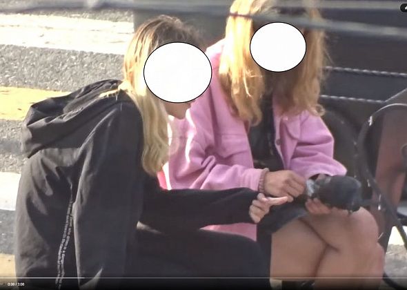 Родителей серовских школьниц, которых "прославило" видео с ощипанным голубем, привлекли к ответственности