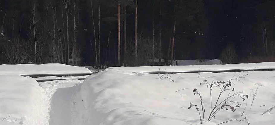 Через ж/д пути к лесу оборудуют переход 