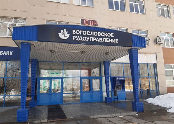 В здании Богословского рудоуправления поймали кидуса — гибрида соболя и куницы