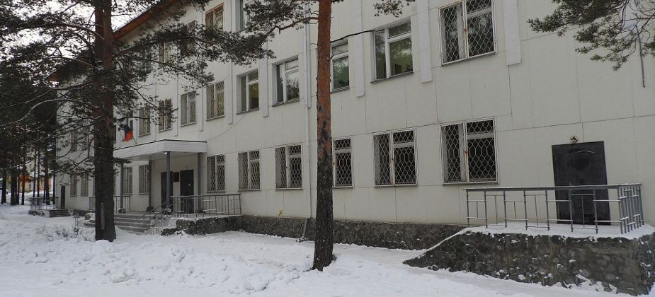 Попытка избежать наезда на животное закончилась ДТП и лишением прав