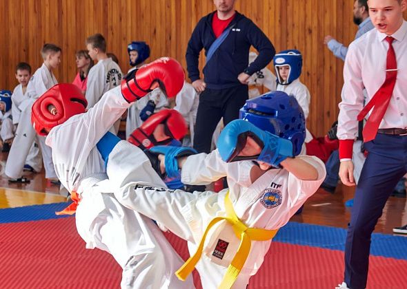 Утверждены новые тарифы на платные услуги в спортивной школе единоборств