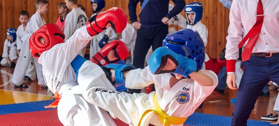 Утверждены новые тарифы на платные услуги в спортивной школе единоборств