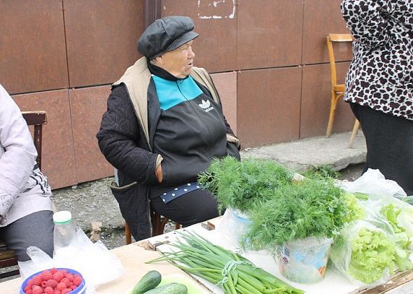 Мэрия Краснотурьинска определила три точки, где бабушкам разрешат торговать