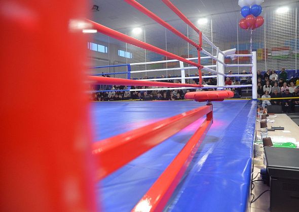 Мэрия регламентировала присвоение спортивных разрядов