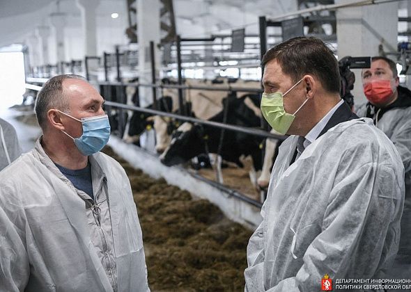 Евгений Куйвашев проверил, как работают меры поддержки фермеров