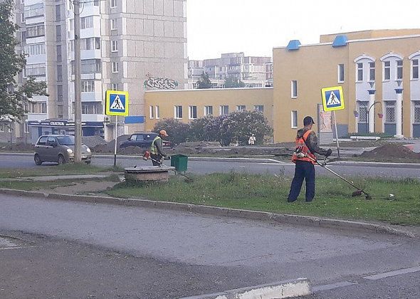 Траву вдоль дорог скосит качканарский предприниматель. Он опередил конкурента на 10 минут