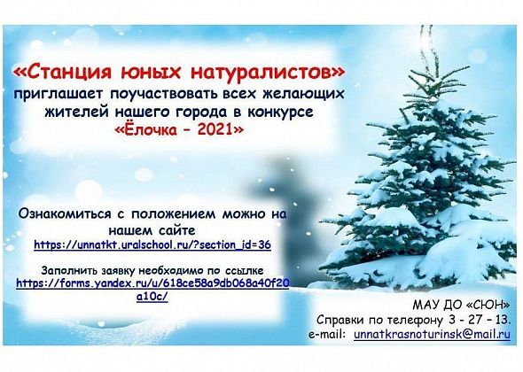 Краснотурьинцев приглашают принять участие в новогоднем конкурсе «Елочка – 2021»