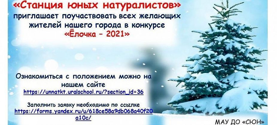 Краснотурьинцев приглашают принять участие в новогоднем конкурсе «Елочка – 2021»