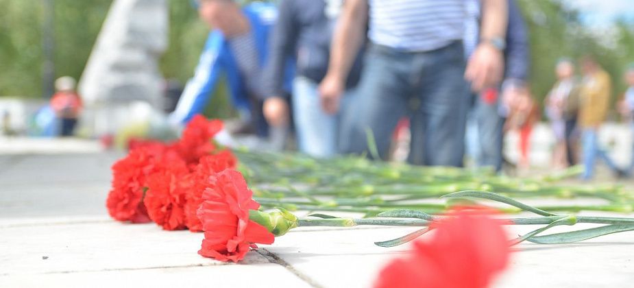 В мэрию необходимо доставить почти 600 растений 