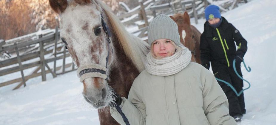 “Они – как дети”. К году Лошади рассказываем о конном хозяйстве “Ласточка”