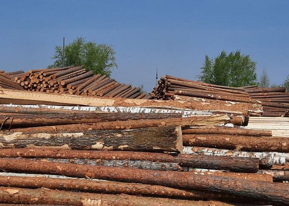В Краснотурьинске определились, как продавать древесину