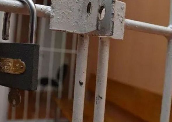 Осудили серовчанку, которая раскладывала наркозакладки. Ее подельник-сожитель ушел на СВО