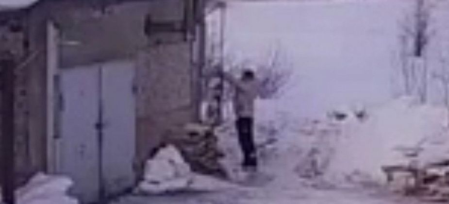 «У меня до сих пор руки дрожат». В Краснотурьинске мужчина пытался повесить собаку?