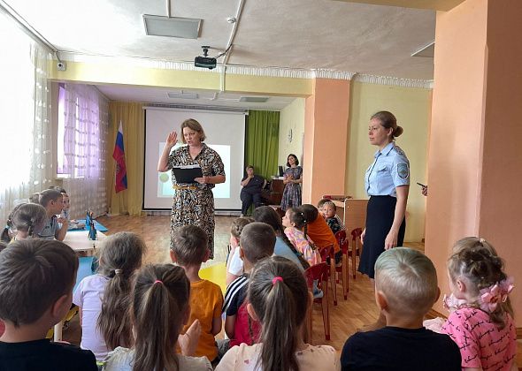 В детском саду провели олимпиаду по правилам дорожного движения  