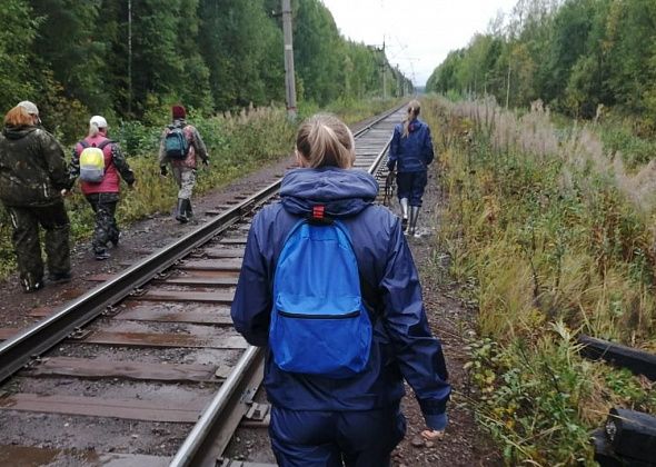Краснотурьинские спасатели уже третьи сутки ищут пропавшего в лесу человека