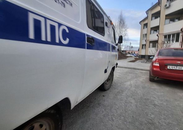 Горожанин, которого заметили у леса с фонариком, пинал полицейских. Мужчину арестовали