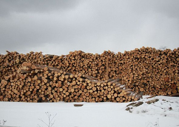 В 2024 году в Краснотурьинске подорожают дрова