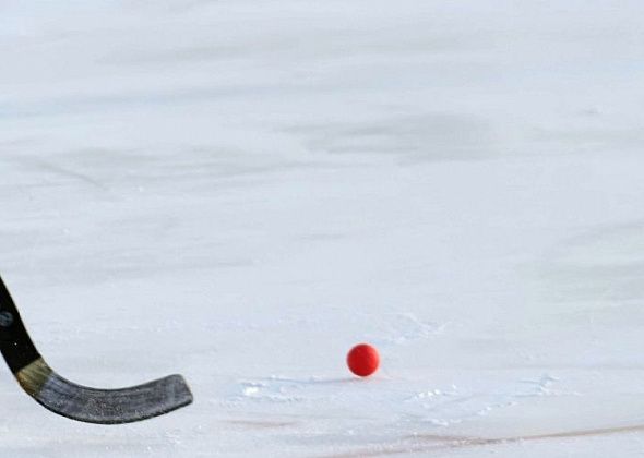 Юноши из Краснотурьинска стали вторыми в первенстве области по хоккею с мячом