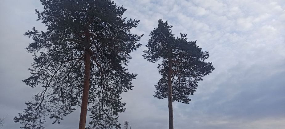 Приметы на 21 января. Не пьем кисель, делимся историями