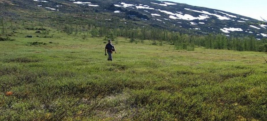 Волонтеры из Германии помогли заповеднику