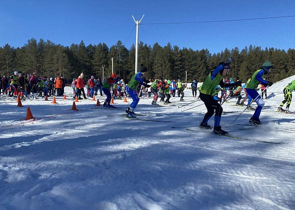 Лыжники завоевали 16 медалей в скиатлоне