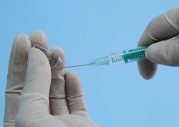 Поставить прививку от гриппа можно в поселках и в филиале поликлиники. Это бесплатно