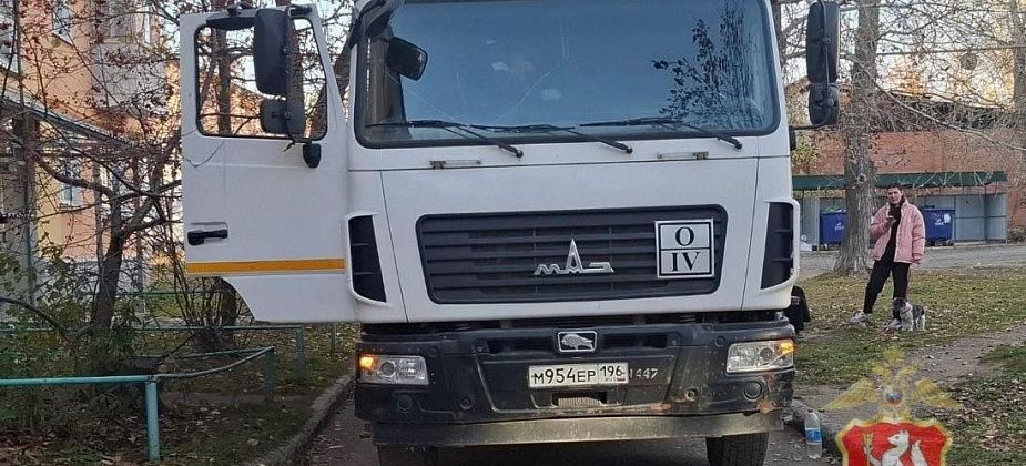 Наказали водителя мусоровоза, задавившего пенсионерку