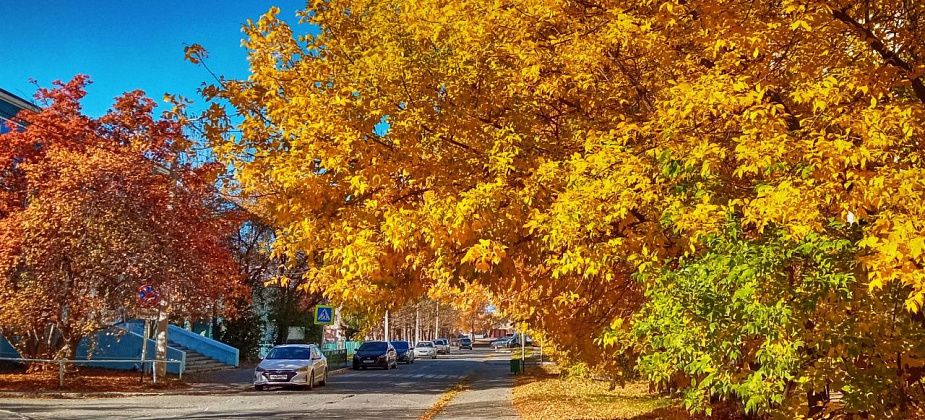 Краснотурьинцы успешно выступили на окружном этапе фестиваля «Осеннее очарование»