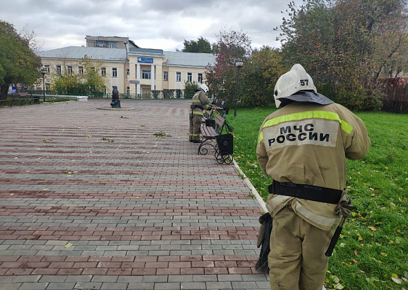 Пожарные Краснотурьинска убрали «Бурундук-парк»