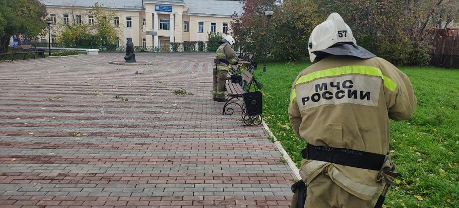 Пожарные Краснотурьинска убрали «Бурундук-парк»