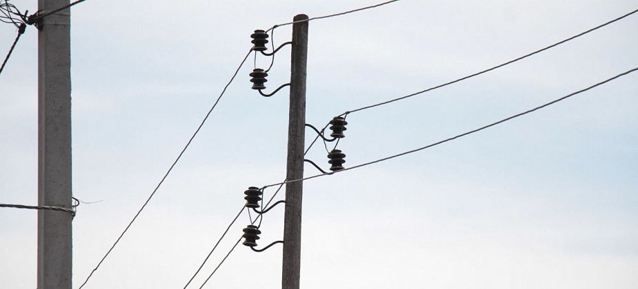 Украли 20 деревянных опор для линии электропередач