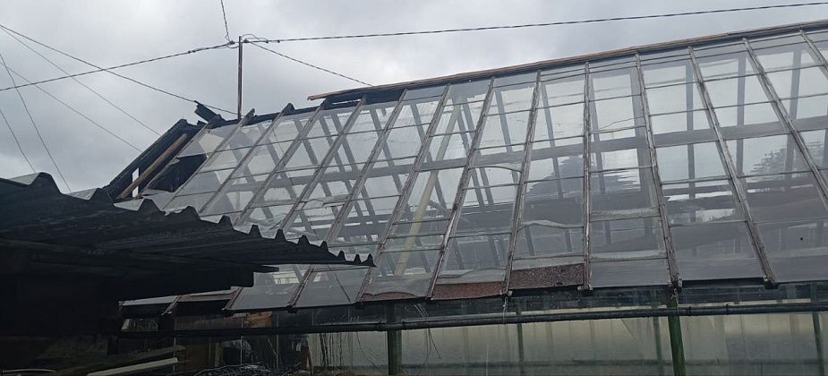 В садовом товариществе горела теплица