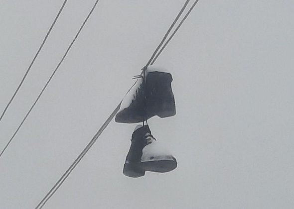 Мнение: «Они работают, как снег закончится»