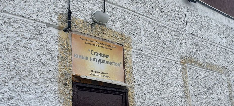 Краснотурьинские юннаты завоевали призовые места на региональном слете юных экологов