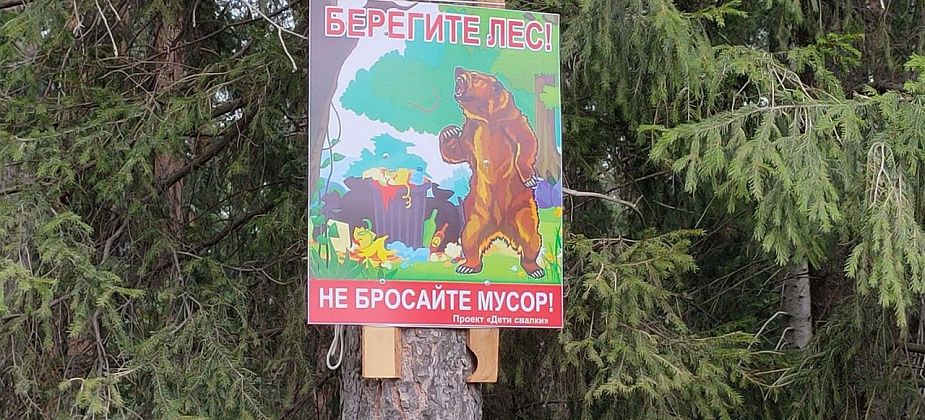 Мусорящих в лесах под Краснотурьинском будут выявлять с помощью фотоловушек