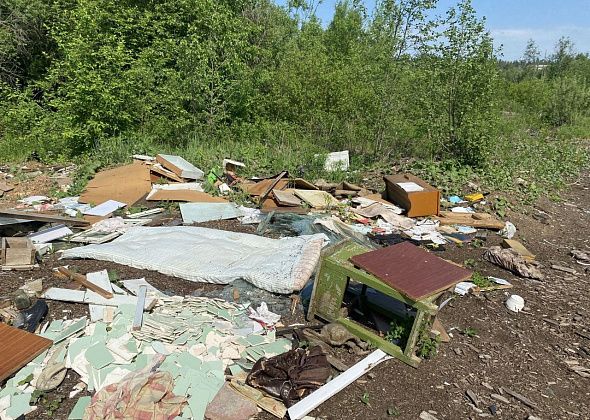 На уборку свалок выделяют три миллиона рублей