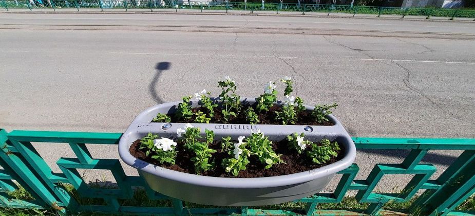 У школ Краснотурьинска появятся вазоны с цветами